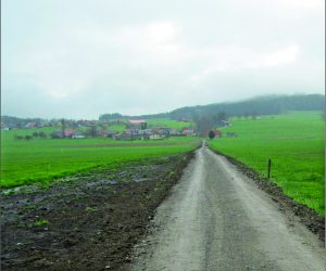 25_3_Sales_Bas_Gauche